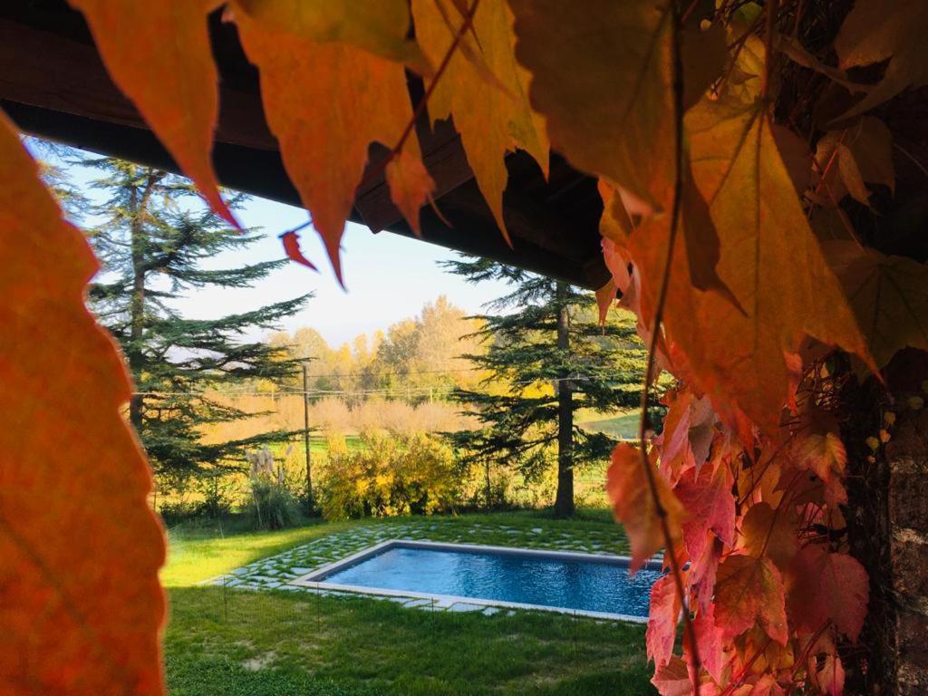 Casa Delle Foglie Sussurranti *