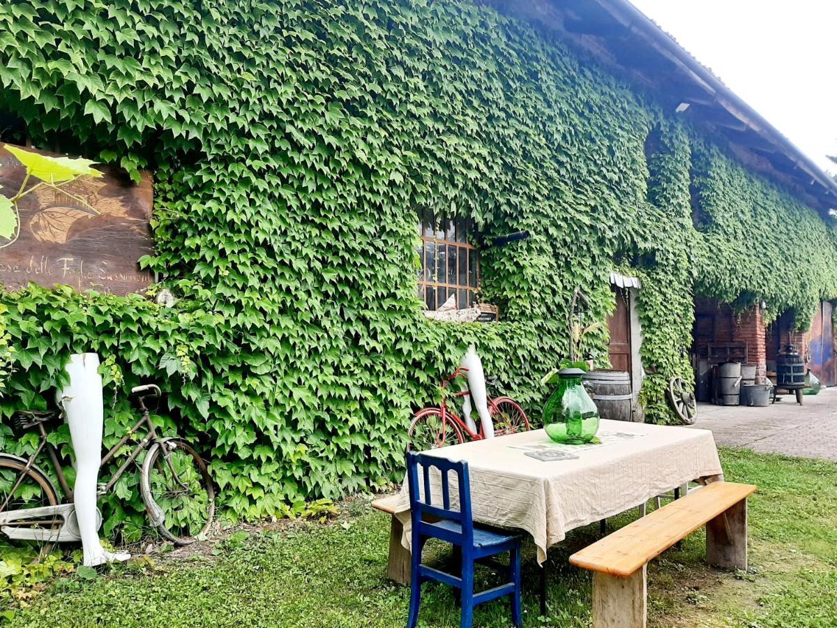 Ferienhaus Casa Delle Foglie Sussurranti *
