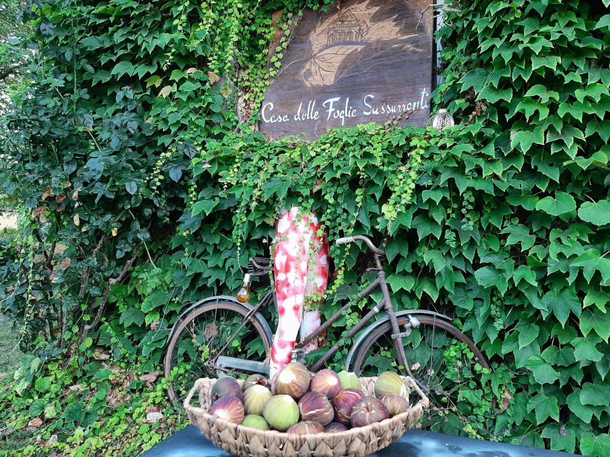 Ferienhaus Casa Delle Foglie Sussurranti *